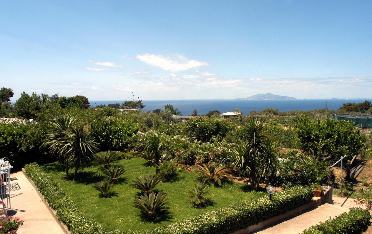 Villa Damecuta B&B Anacapri  Exterior foto