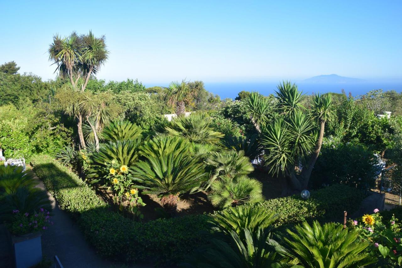 Villa Damecuta B&B Anacapri  Exterior foto