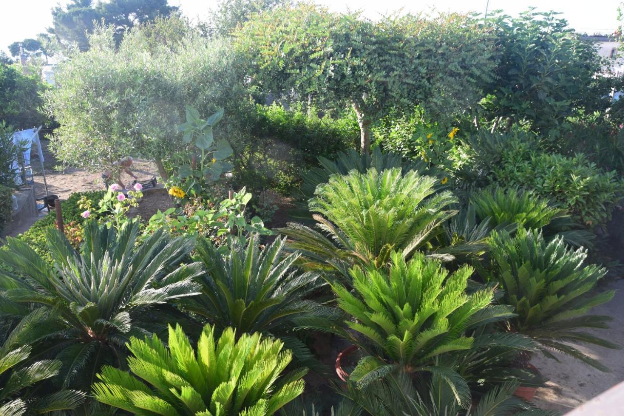 Villa Damecuta B&B Anacapri  Exterior foto